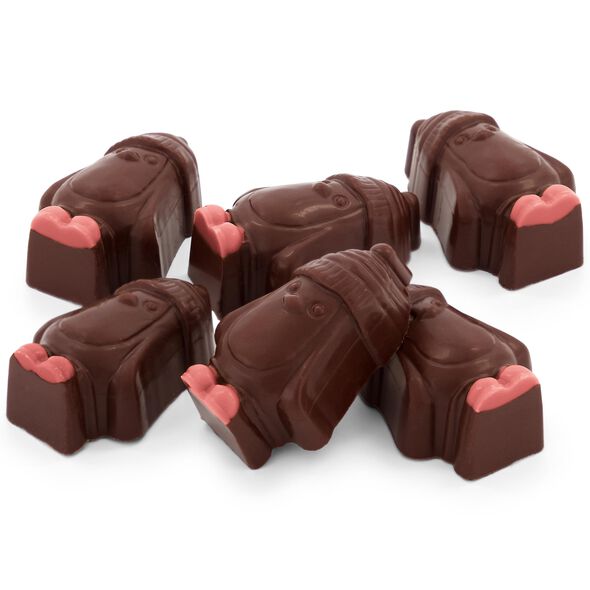 Raspberry Chocolate Penguin Selector - 65g