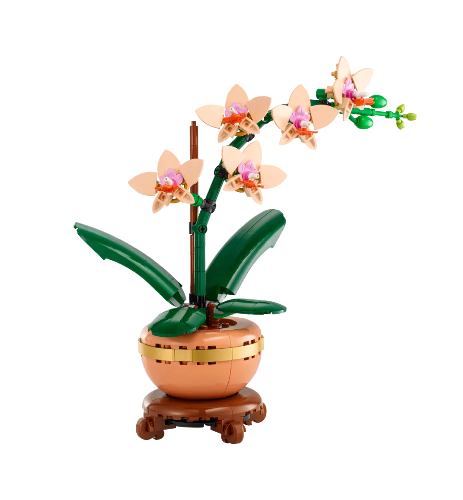 Botanicals : Mini Orchid