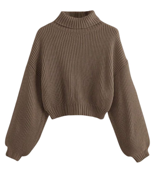 Romwe: Women's Casual Solid Color Turtleneck Sweater