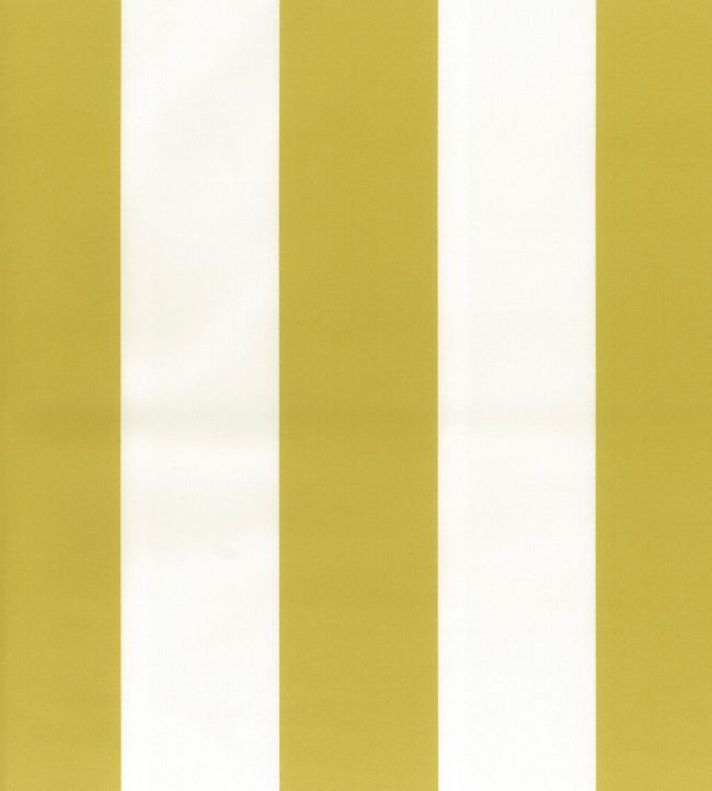 Osborne & Little: Pisa Stretto Fabric (Chartreuse)