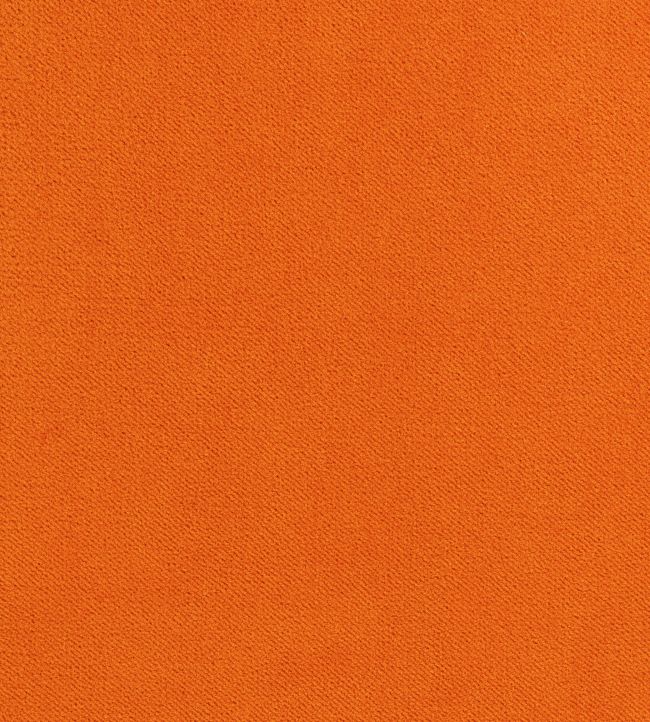 Thibaut: Club Velvet Fabric (Autumn)
