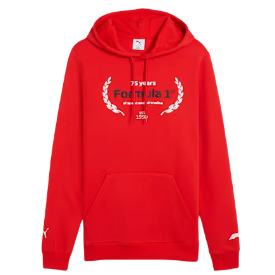 F1 Men's Essentials Logo Graphic Hoodie