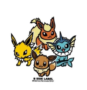 Pokemon: Eevee & Evolution