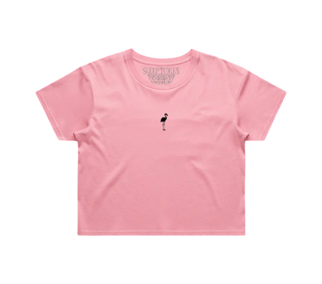 Even In Arcadia Flamingo Crop Tee