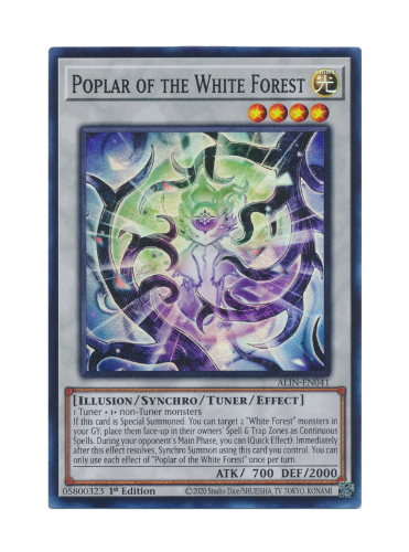 Poplar Of The White Forest