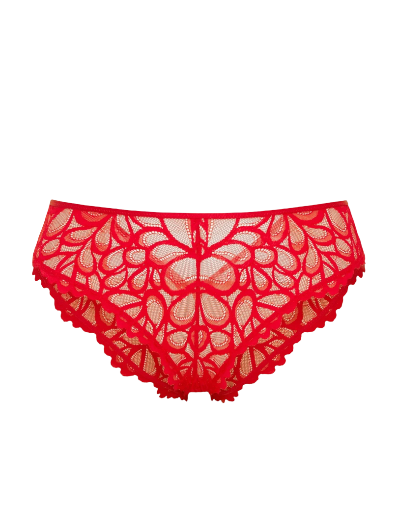 Savage Not Sorry Lace Cheeky Knickers (Timeless Red)