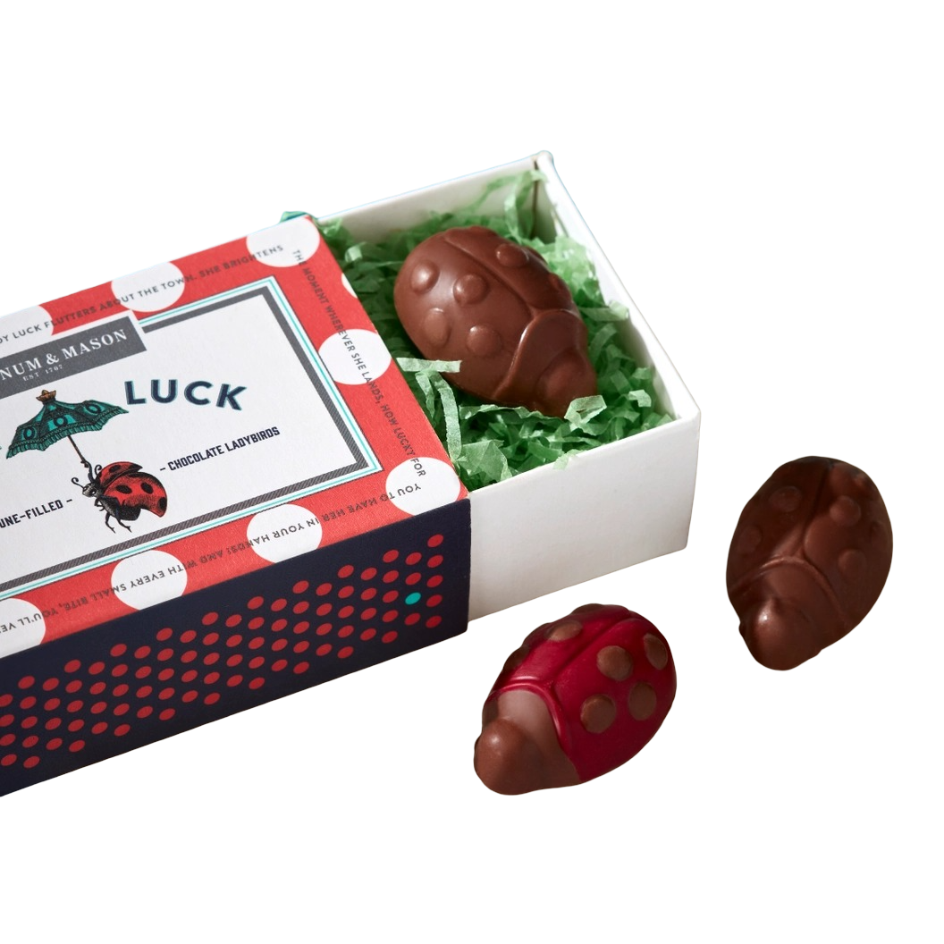 Lady Luck Chocolate Ladybird Matchbox - 33g