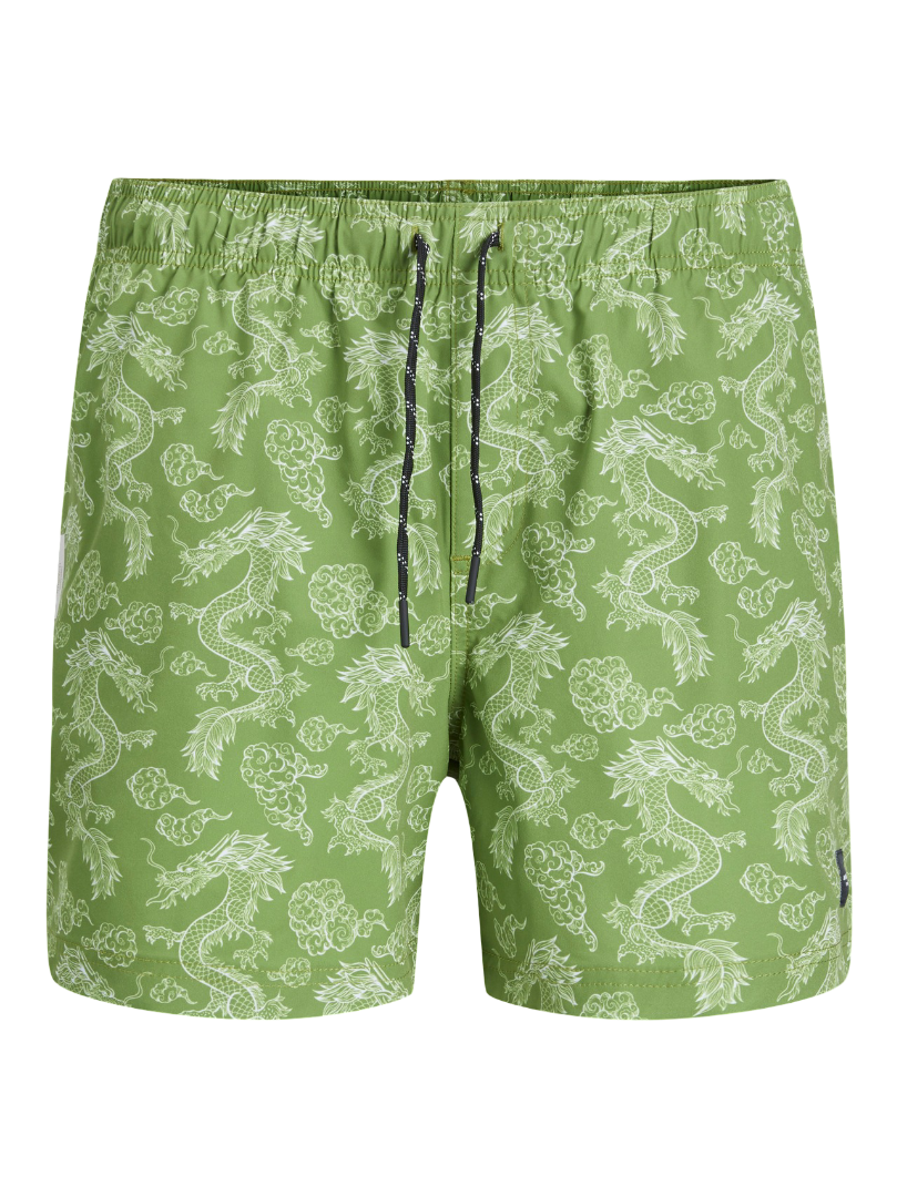 Regular Fit Swim Shorts (Green)