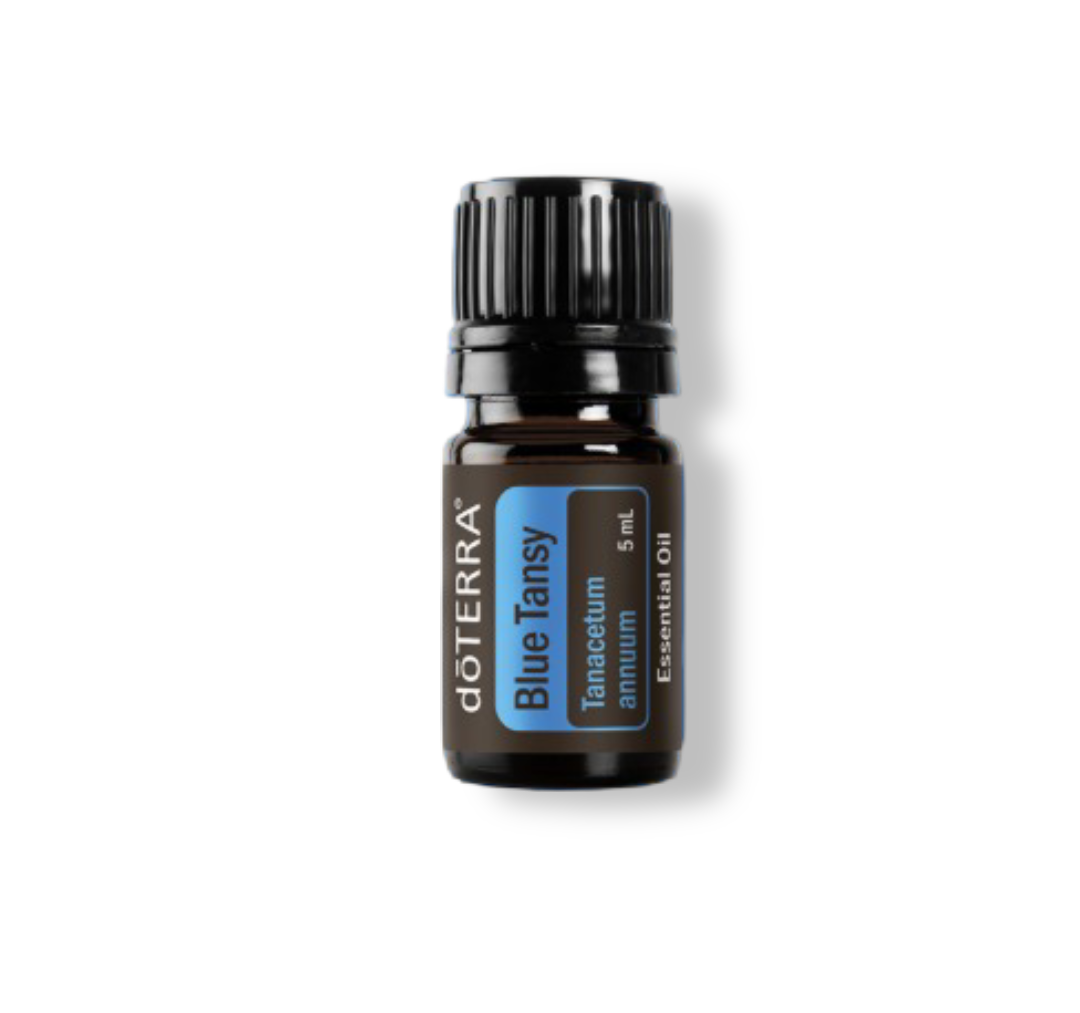 Blue Tansy Essential Oil - 15ml