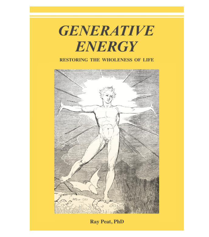 GENERATIVE ENERGY: Restoring The Wholeness Of Life (Paperback)