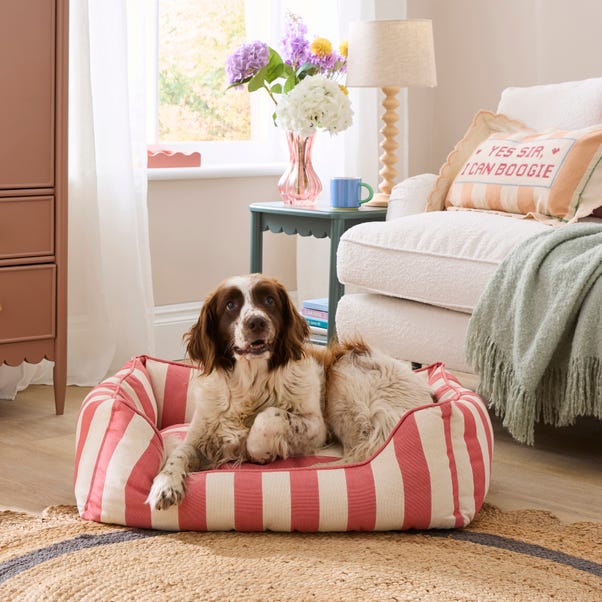 Beatrice Stripe Box Pet Bed (Honey)