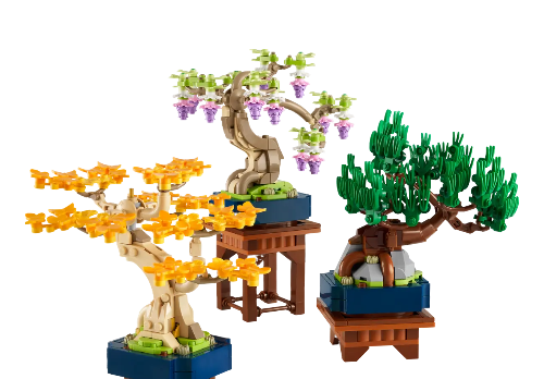 Botanicals : Mini Bonsai Trees (Set of 3)