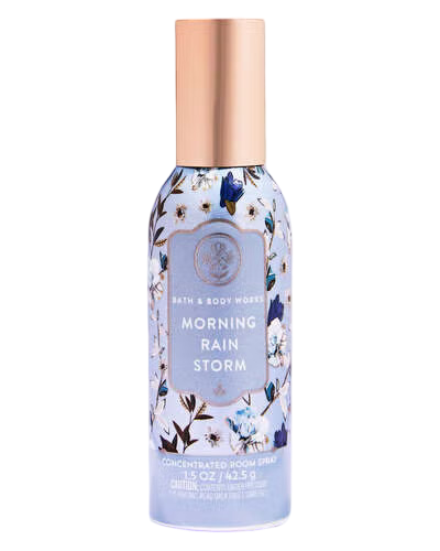 Concentrated Room Spray: Morning Rainstorm - 42.5g