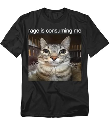 Popfunk: Funny Meme Rage is Consuming Me Unisex Adult T-Shirt (Black)