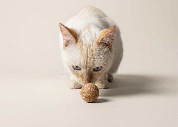 Natural Cork Cat Balls (Silvervine + Catnip Infused)