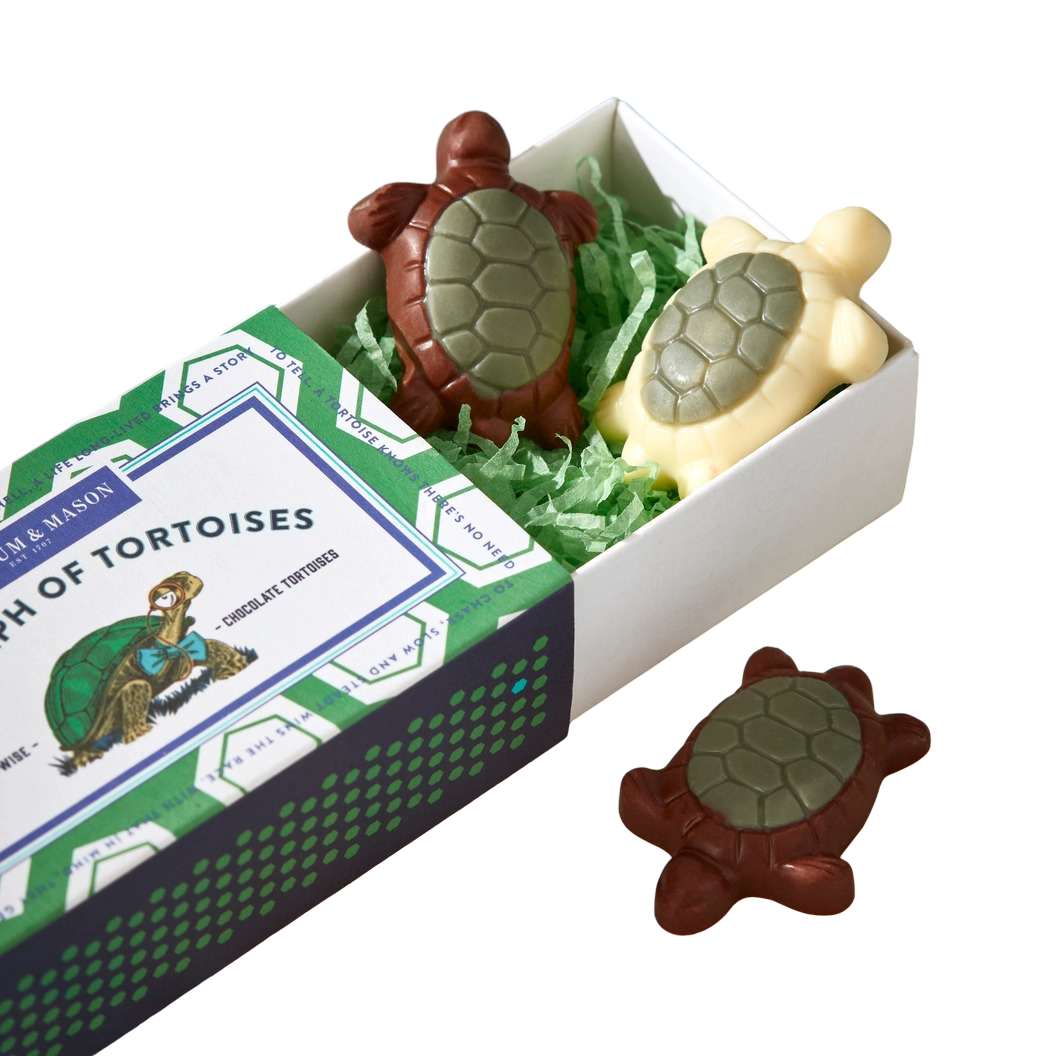 A Triumph of Chocolate Tortoises Matchbox - 25g