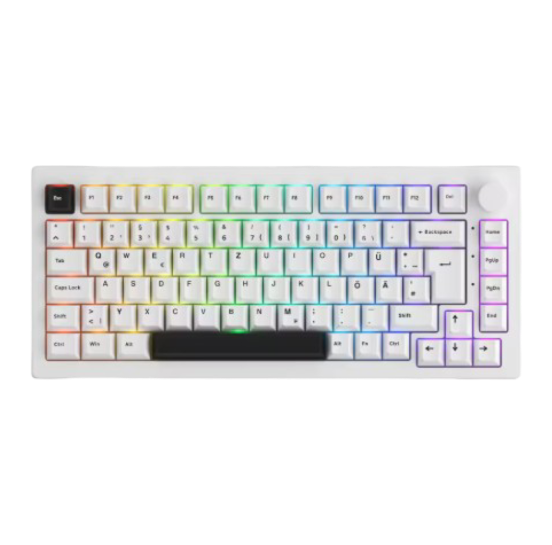 Akko: 5075B Plus ISO Led RGB Backlit Wireless Keyboard (Black On White)