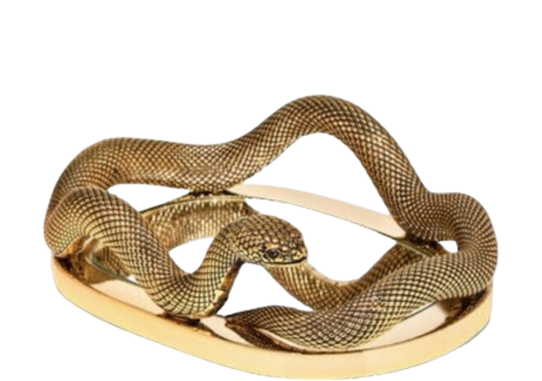 Body Care Tray: Snake Mirror