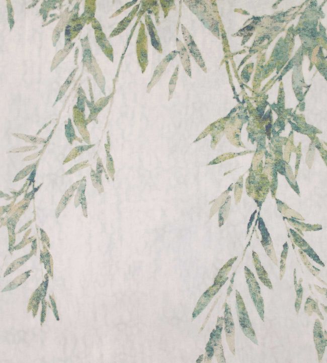 Romo: Aula (Hummingbird)