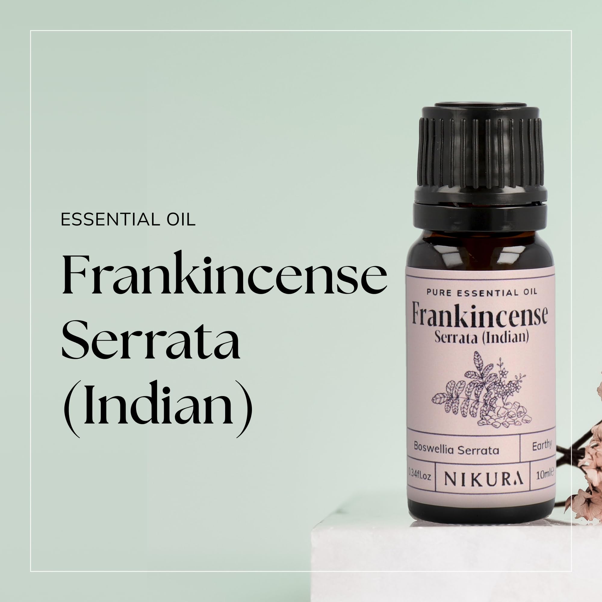 Frankincense Serrata Indian Essential Oil (100ml)