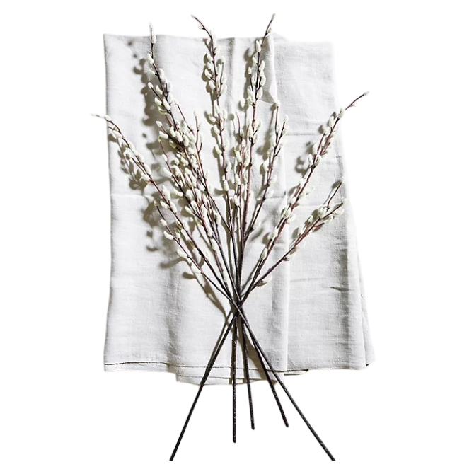 Pussy Willow Branches