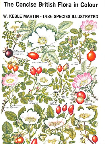 Concise British Flora in Colour