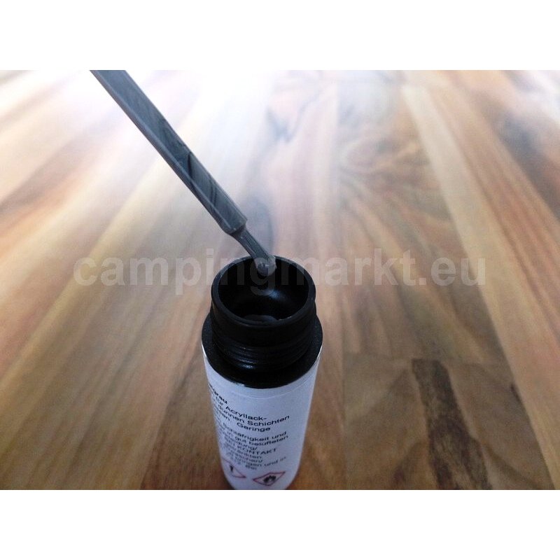 Hobby Varnish Paint (Grey)