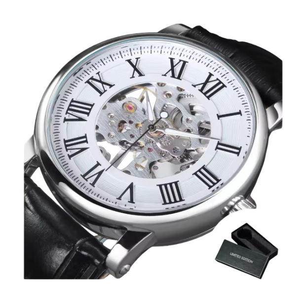 Classic Mechanical Watch for Men