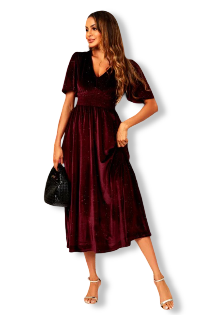 Women's Velvet V Neck Maxi Dress (Wine)