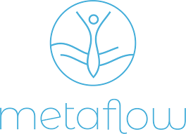 MetaFlow