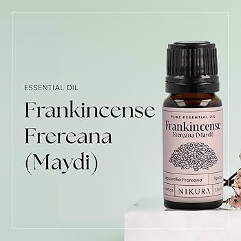 Frankincense Frereana Maydi Essential Oil (10ml)