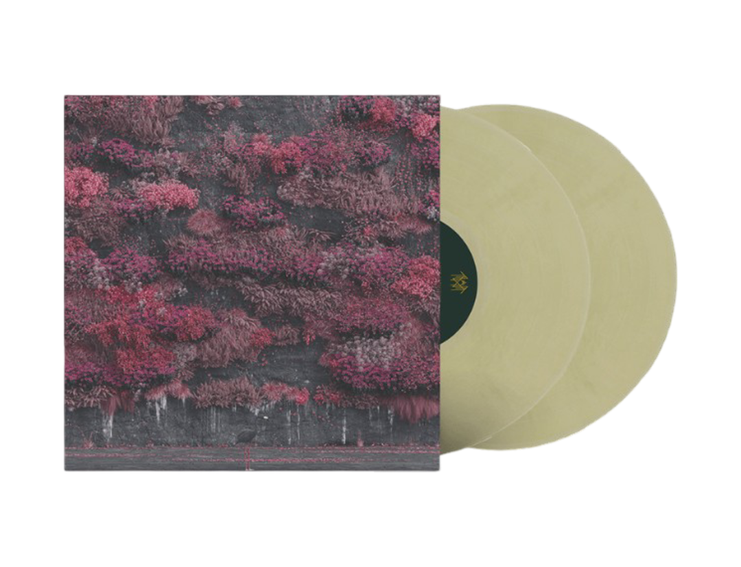 Even In Arcadia Double Vinyl - Hint Of Gold