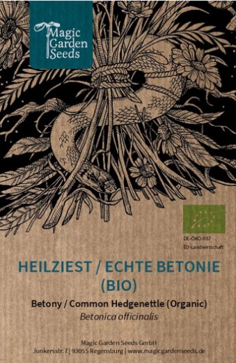 Medicinal Betony / Betony (Betonica Officinalis) Organic Seeds