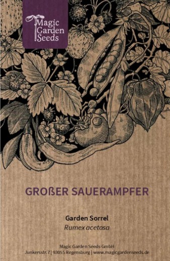 Great sorrel (Rumex acetosa) seeds