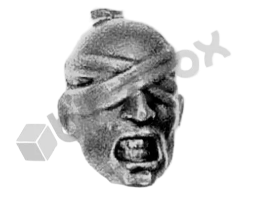 Adeptus Mechanicus Electro-Priests Head A